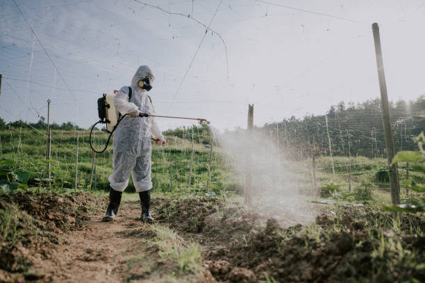 Best Pest Control Treatment  in Delft Colony, CA