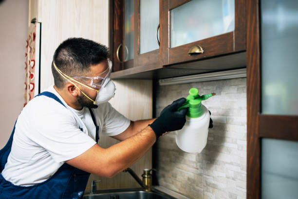 Best Best Pest Control Companies  in Delft Colony, CA