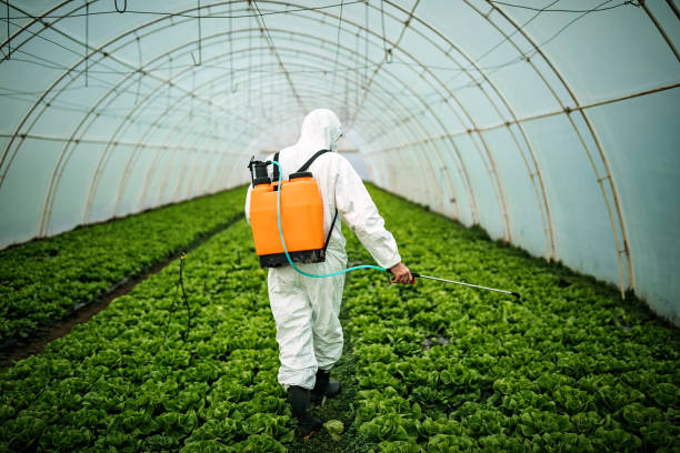  Delft Colony, CA Pest Control Pros