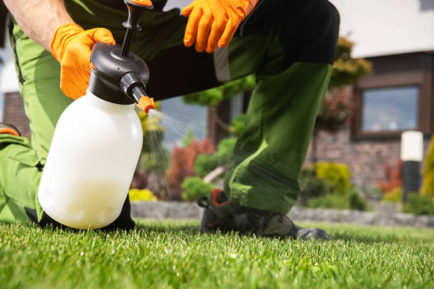 Best Best Pest Control Companies  in Delft Colony, CA