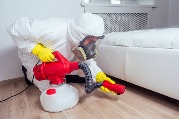 Best Bed Bug Extermination  in Delft Colony, CA