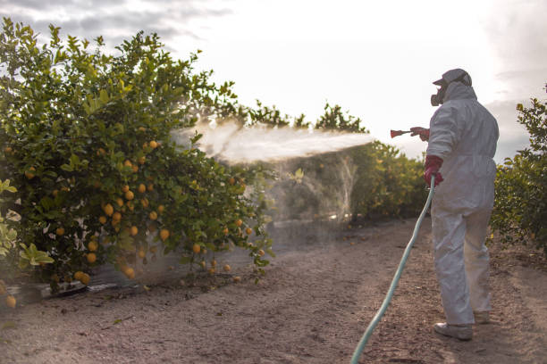 Delft Colony, CA Pest Control Company