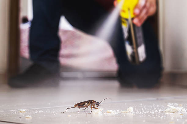 Best Cockroach Control Services  in Delft Colony, CA