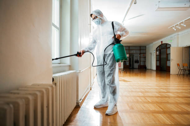 Professional Pest Control in Delft Colony, CA