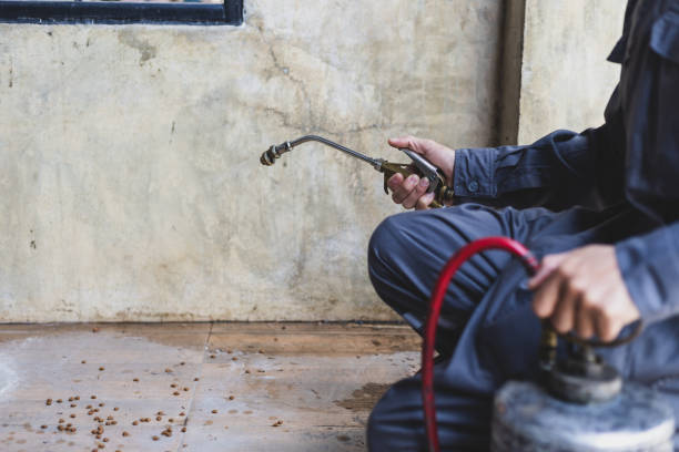 Best Termite Control Services  in Delft Colony, CA