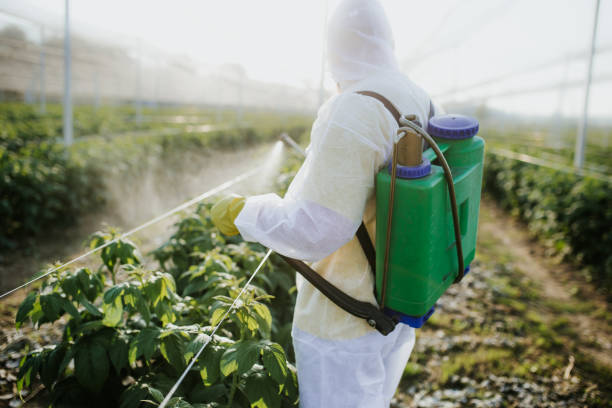 Best Pest Inspection Near Me  in Delft Colony, CA